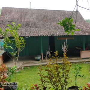 Homestay Pak Yit Rt 08