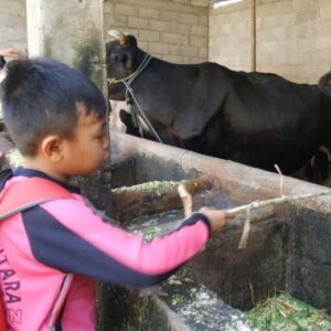 Edukasi Ternak