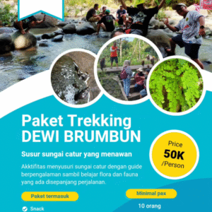 trek_dewibrumbun